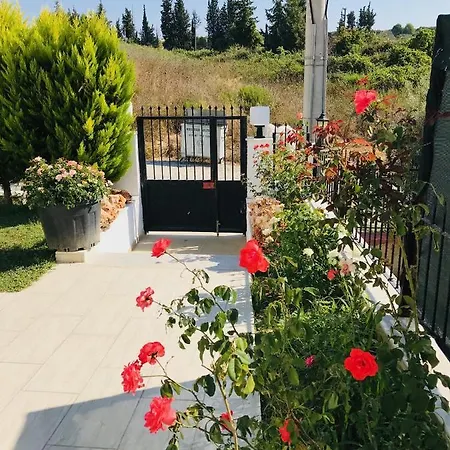 Vip * Κουσάντασι
